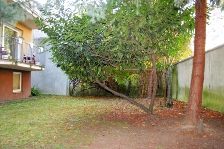Gartenansicht Mehrfamilienhaus K�ln